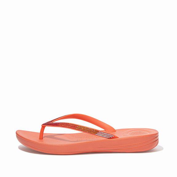 Tongs Femme Fitflop Iqushion Rubber Corail Rose (NGS934265)